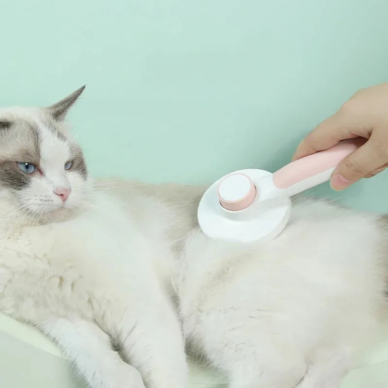 Pet Brush