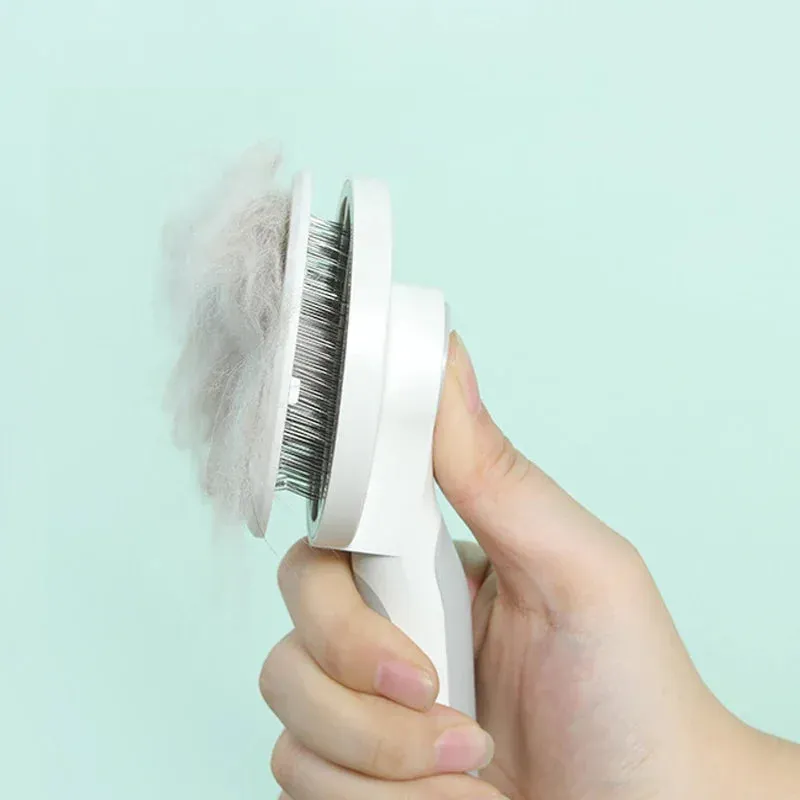 Pet Brush